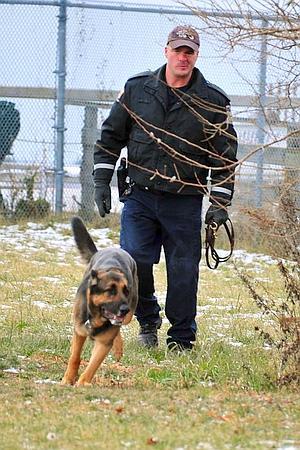 HUNT FOR CLUES: A K-9 unit yesterday searches the Long Island beachfront area where four bodies have been found and where missing hooker Shannan Gilbert was last seen in May by Gustav Coletti.