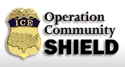 Community Shield logo